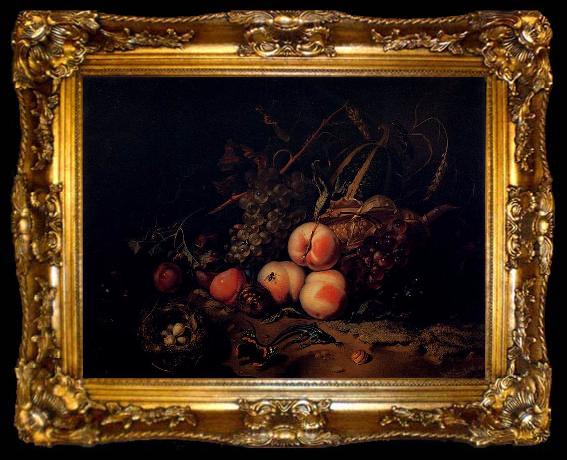 framed  Rachel Ruysch Still-Life with Fruit and Insects, ta009-2